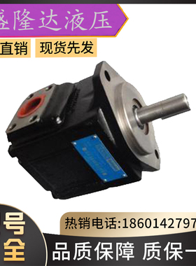 全新DENISON泵T6EC-052-025-1L01-B1-J224Parker派克丹尼逊叶片泵