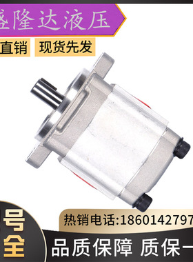 油泵HYDROMAX HGP-1A-F5R F1R F2R F3R F4R F6RF8R台湾新鸿齿轮泵