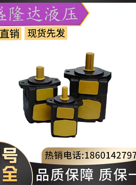 供应YUKEN油研油泵PV2R23-65-52-F-RAAA-41叶片泵CPV2R23-41-L-41