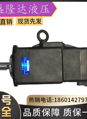 全新美国DENISON丹尼逊叶片泵/T6CCW-028-014-2R01-C100/液压油泵