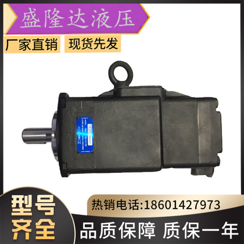 全新美国DENISON丹尼逊叶片泵/T6CCW-028-014-2R01-C100/液压油泵