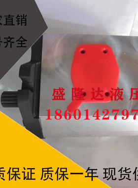 意大利ETTIMA螺杆泵齿轮泵ZNYB01022302ZNYB01021702注塑机械油泵