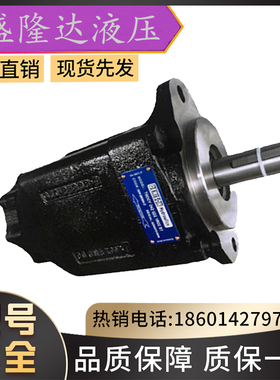 DENISON油泵丹尼逊叶片泵T7E系列叶片泵/T7EDS045B351R00铸铁油泵