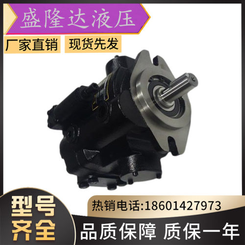 全新丹尼逊油泵PV20-1R5D-C00电动铸铁Denison柱塞泵PV20-2R1DC00
