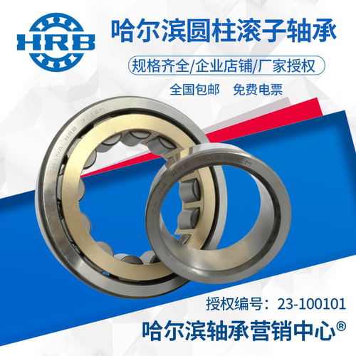 哈尔滨圆柱滚子轴承NU300系列