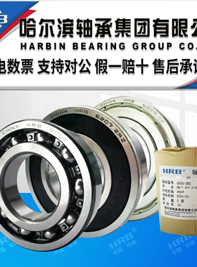 HRB哈尔滨轴承 6206 6207 6208 6209 6210 6211rz zz深沟球双密封