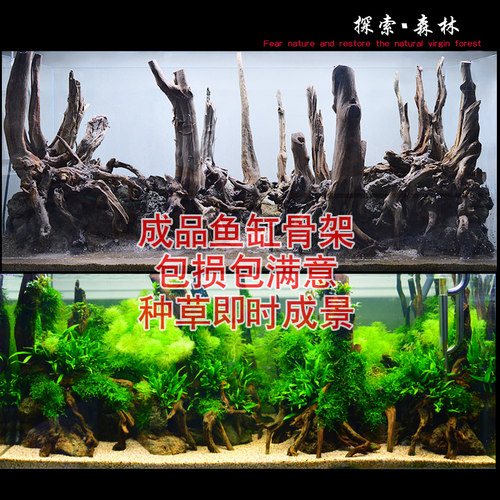 直沉木套餐创意树干森林鱼缸造景