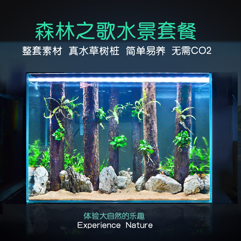 鱼缸森林之歌造景热带雨林树干