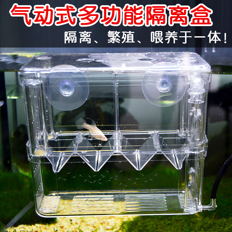 鱼缸大号多功能孵化器鱼苗繁殖盒饲养双层孔雀鱼斗鱼幼鱼隔离盒