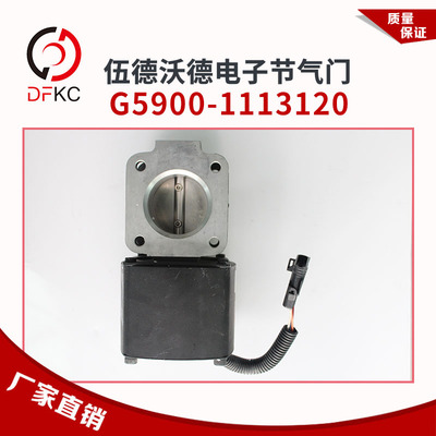 电子节气门G5900-1113120
