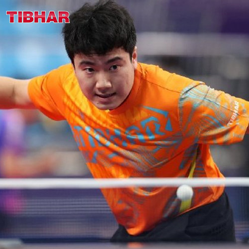 TIBHAR乒乓球服侯英超同款速干