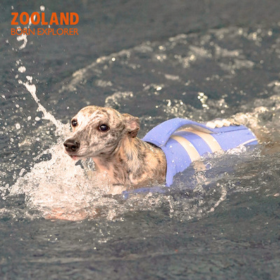 zooland域揽宠物救生衣狗狗小中大型犬宠物金毛柯基游泳衣边牧