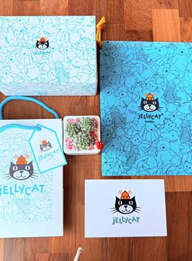 JC英国jellycat原装蓝色抽绳防尘袋手提袋卡片礼品袋