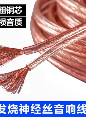 音响线专业发烧无氧铜音频线缆连接线通用纯铜喇叭线音频线音箱线