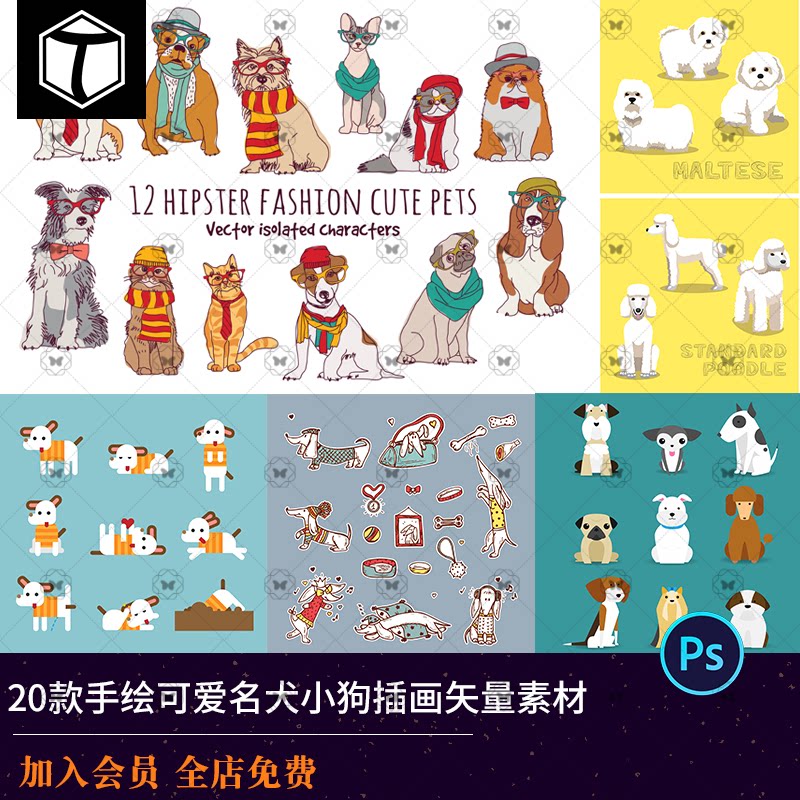 手绘可爱名犬小狗子汪星人宠物泰迪雪纳瑞插画插图矢量设计素材