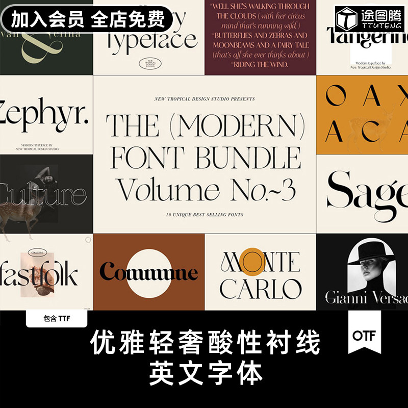 10套经典优雅轻奢酸性衬线杂志海报标题品牌徽标Logo设计英文字体,商务/设计服务,样图/效果图销售,淘宝优惠券,粉丝福利购,淘宝优惠卷