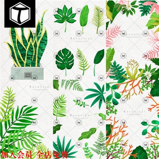 小清新手绘热带植物素材图仙人掌水彩叶子绿植海报PSD设计高清图