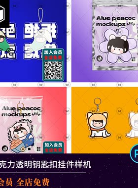 异形亚克力透明钥匙扣PSD样机