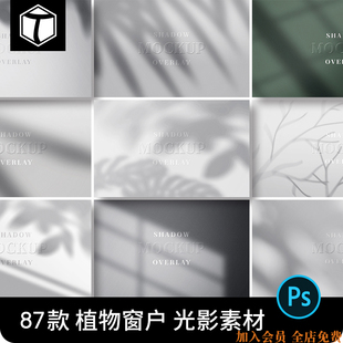 唯美植物窗户树叶光影阴影光斑背景PS后期叠加合成PSD设计素材