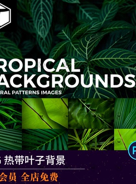 简约热带植物芭蕉叶绿色叶子绿植背景JPG高清图片背景设计素材图