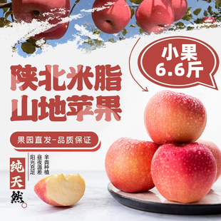 陕北米脂高西沟山地苹果陕西特产红富士一箱6.6斤3300g姬小米家
