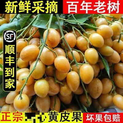 顺丰冷链广东鸡心贵妃黄皮果新鲜现摘时令鸡心贵妃黑黄皮酸甜水果
