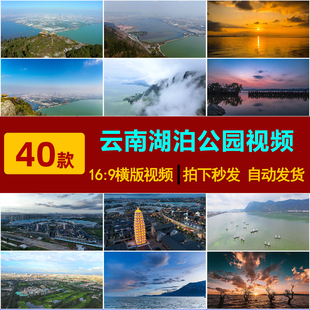 S0221云南昆明滇池湖泊风光王官湿地公园风景西山红嘴鸥视频素材