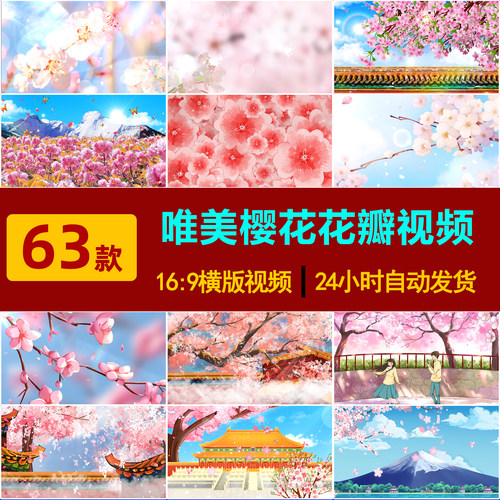 S0007唯美春天粉色白色浪漫樱花节富士日本树林花瓣飘落视频素材-