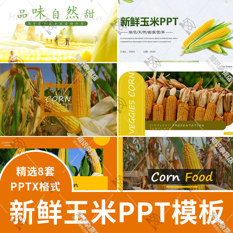 新鲜玉米粮食介绍农产品企业宣传种植食物简介主题背景ppt模板