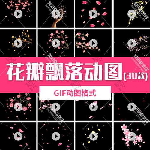 春天粉色花瓣飘落飘逸gif动态图片 透明背景PPT动图元素设计素材