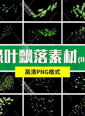 飘落的叶子绿叶漂浮的绿色树叶素材插图png透明背景免扣设计元素
