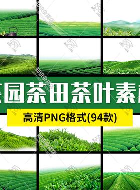 高清茶园茶田茶山梯田农田绿色新鲜绿色自然风景png免扣图片素材