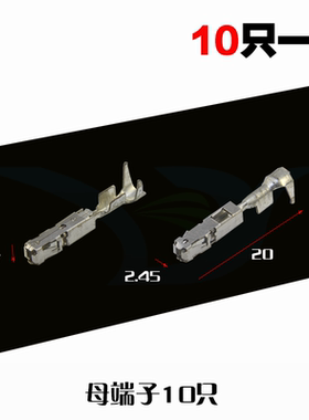 汽车接插件线束改装BCM连接电线接头J519车用控制器接线端子10只