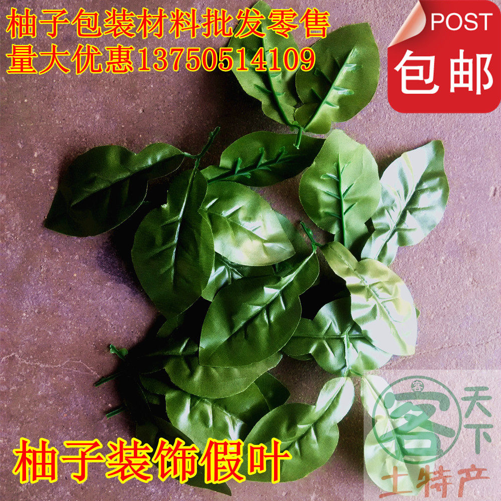 包邮柚子假柚子叶 装饰叶子 配叶蜜柚 沙田柚红心蜜柚 三红柚