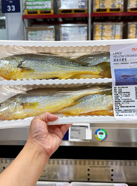 山姆深海大黄鱼（4条）