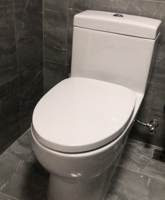 唯宝6616AS01萨博威落地虹吸式连体座便器