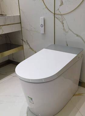 科勒雅泊丹枫E30524/E30525智能一体座便器