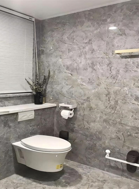 科勒K-25447/25839/32764/25093/20535维亚挂墙式座便器