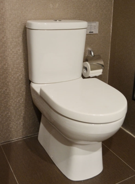 科勒直冲式帕纳奇分体座便器