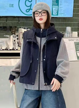 可拆卸马甲+针织外套两件套女2025秋季新款学院风宽松pf夹克上衣