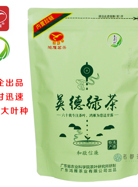 鸿雁英德绿茶广东茶科所炒青绿茶岭南大叶种潮汕揭阳炒茶浓香250g