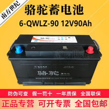 2S骆驼蓄电池6-QWLZ-90大货车启动电瓶 12V90AH免维护汽车电池