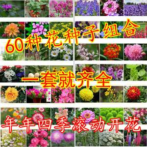 60种花卉种子四季开花组合套餐