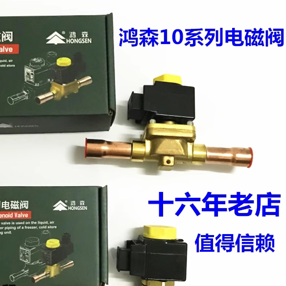 鸿森10系列电磁阀冷库空调二通电磁阀焊口制冷机阀门线圈220V380V