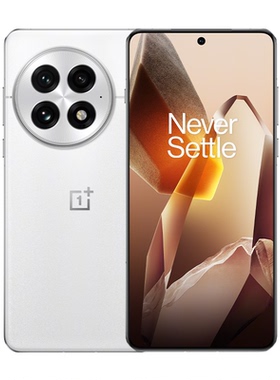 OnePlus/一加 13 12+256GB