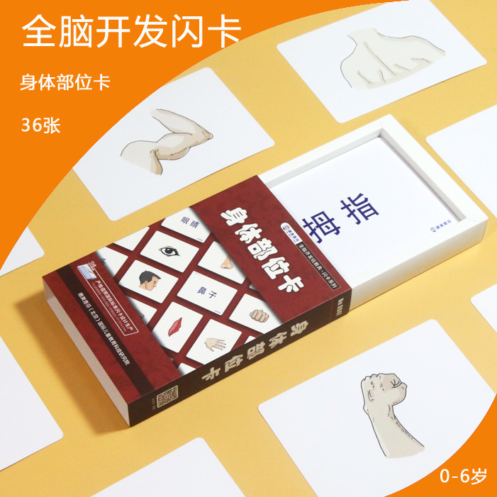 身体部位全脑右脑潜能七田式早教