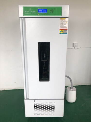 RTOP-310D智能人工气候箱