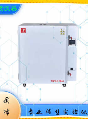 泰斯特TWG-5032L-5050L-5080L-5136L-5225L高温鼓风干燥箱500度