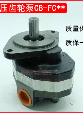 GJCB液压油泵齿轮泵CB-FC10L-16L-20L-25L-32L-40L-50L-63L-80L R