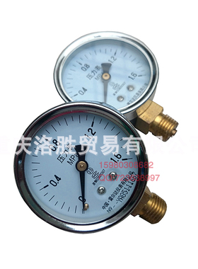 雷尔达立式压力表Y-60水压表螺纹M14*1.5 0~0.16/0.25/0.4/60mpa
